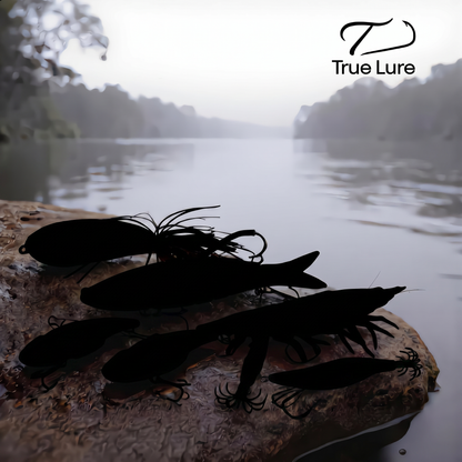 Mystery Lure Box - Testing the Waters